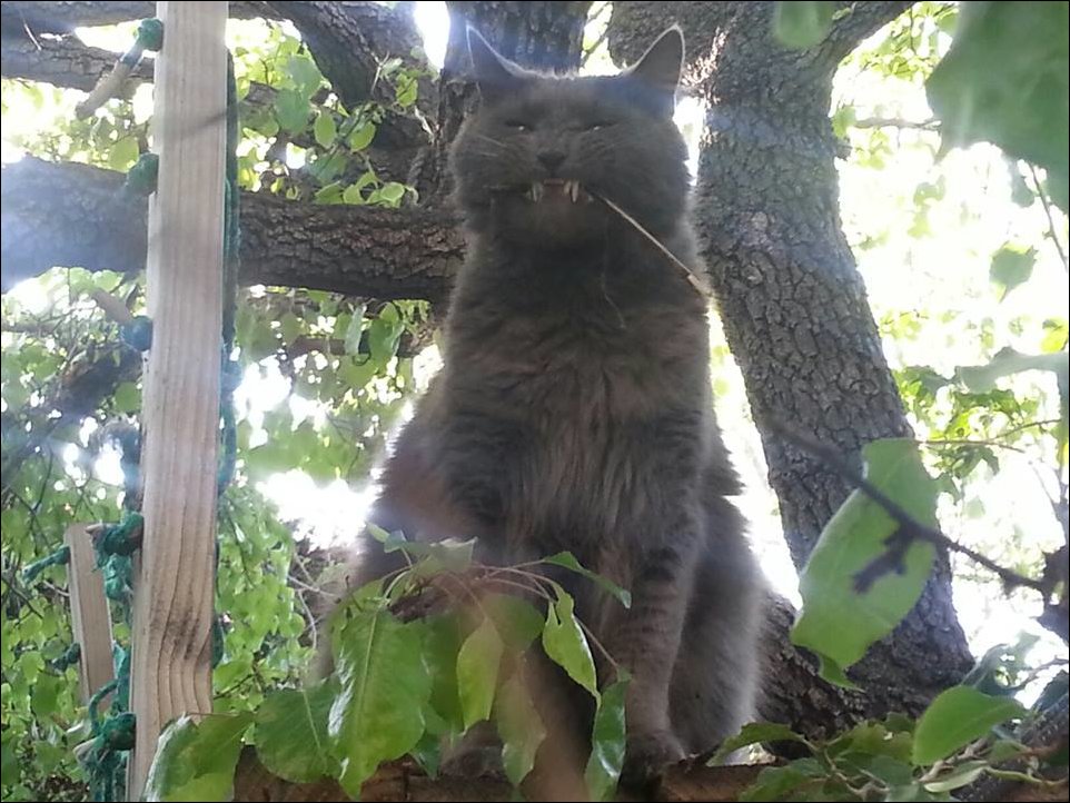 Подборка фотографий