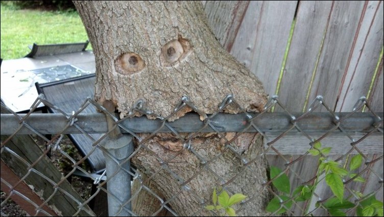 Подборка фотографий