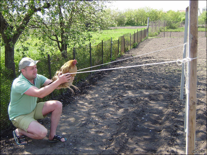Подборка фотографий