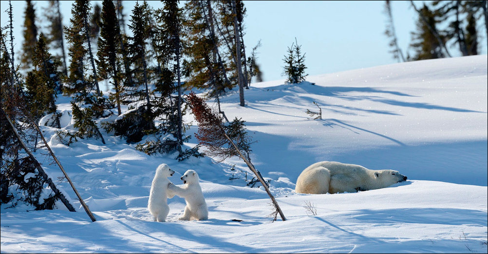 Подборка фотографий