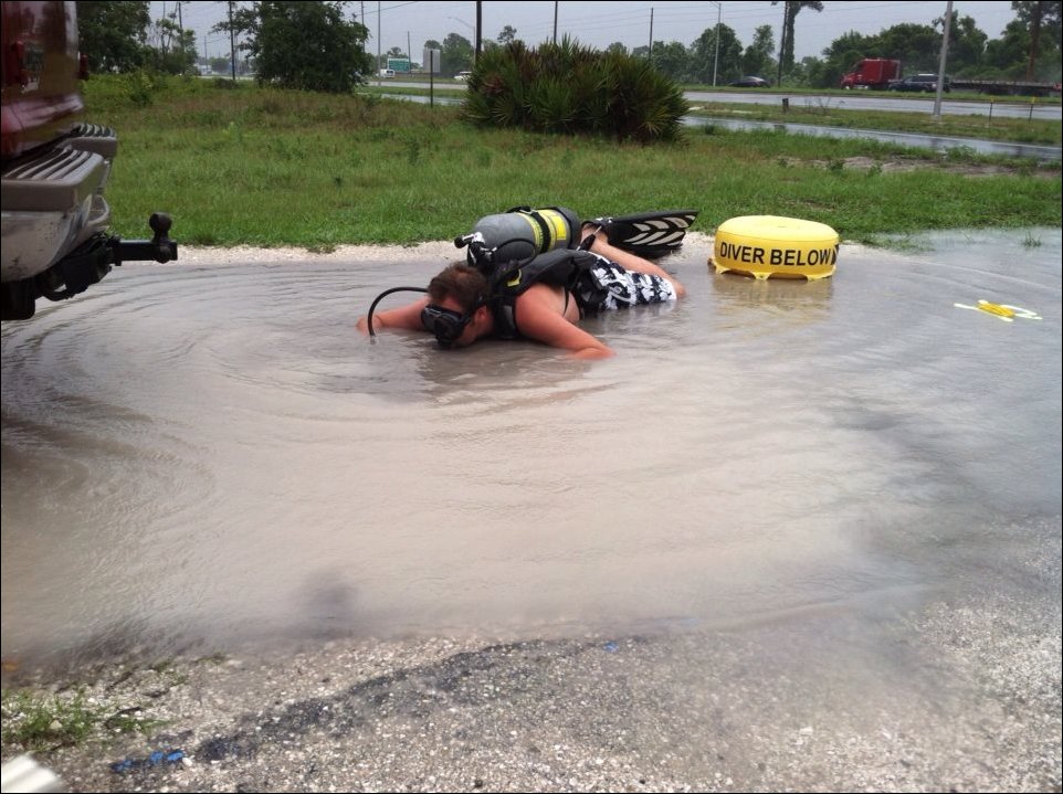 Подборка фотографий