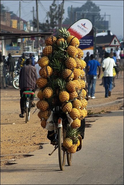 Подборка фотографий