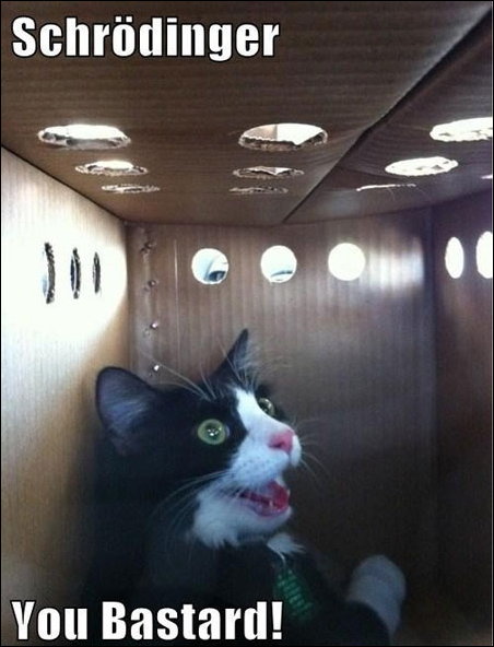 Подборка фотографий