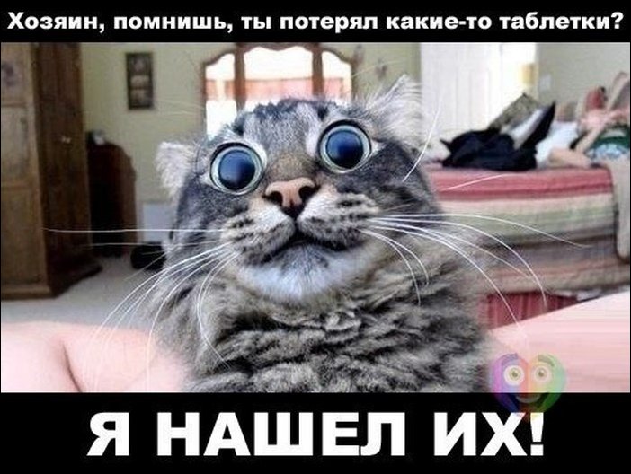 Подборка фотографий