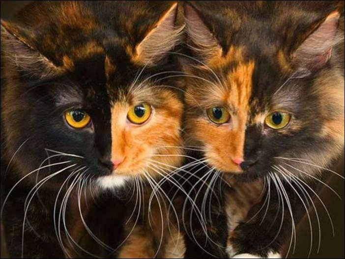 Подборка фотографий