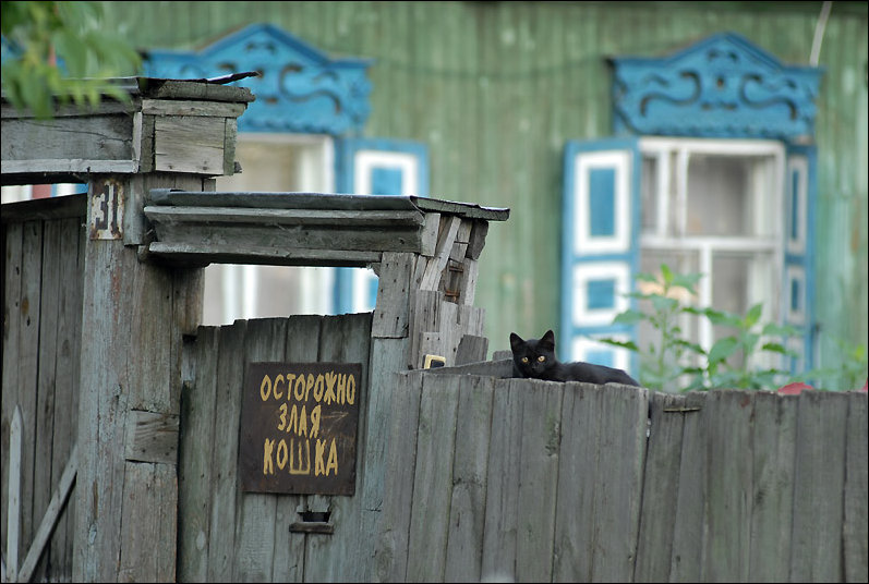 Подборка фотографий