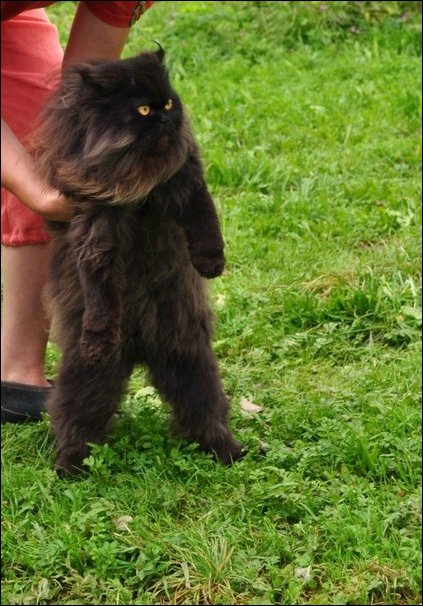 Подборка фотографий