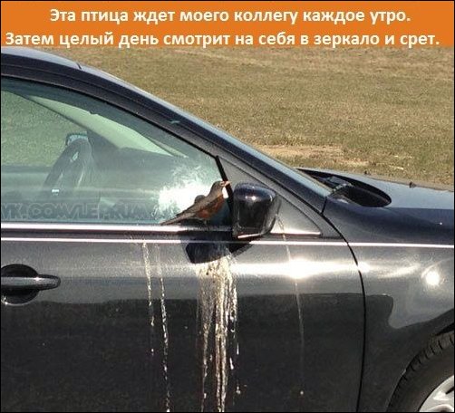 Подборка фотографий