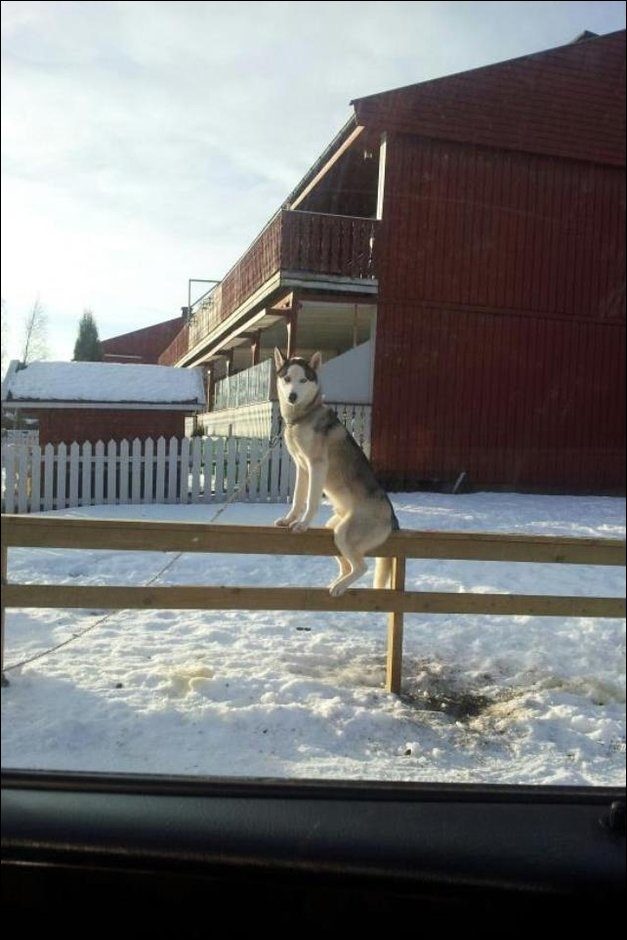 Подборка фотографий