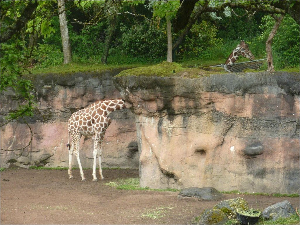 Подборка фотографий