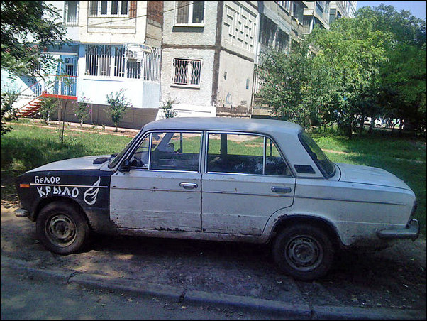 Подборка фотографий