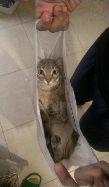 Подборка фотографий