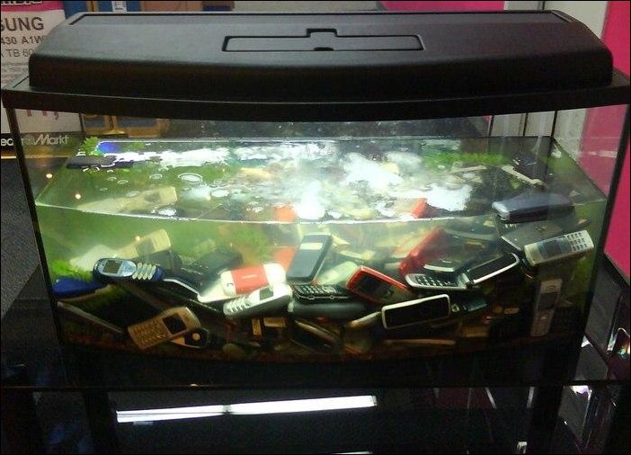 Подборка фотографий