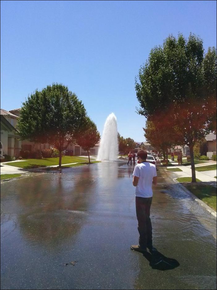 Подборка фотографий