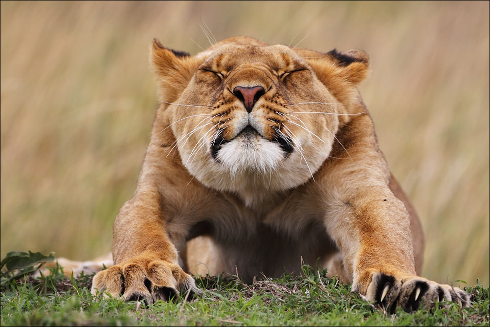 Подборка фотографий