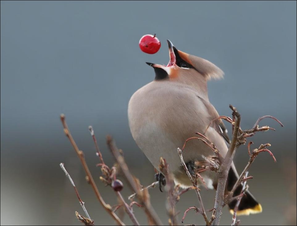 Подборка фотографий