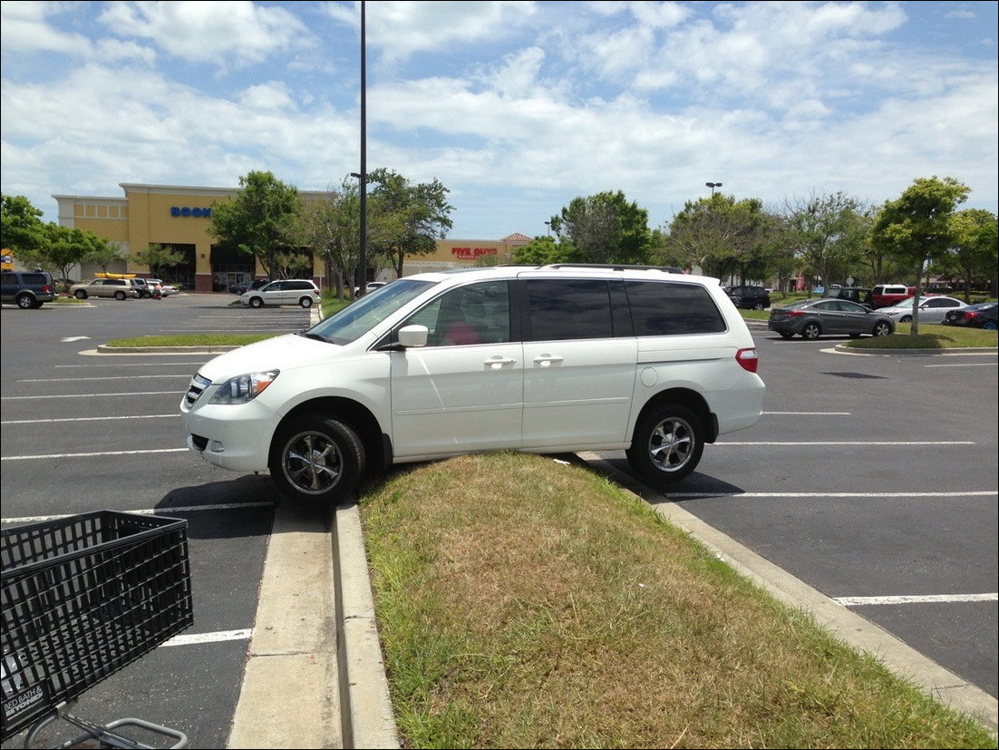 Подборка фотографий