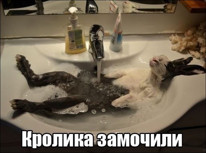 Подборка фотографий