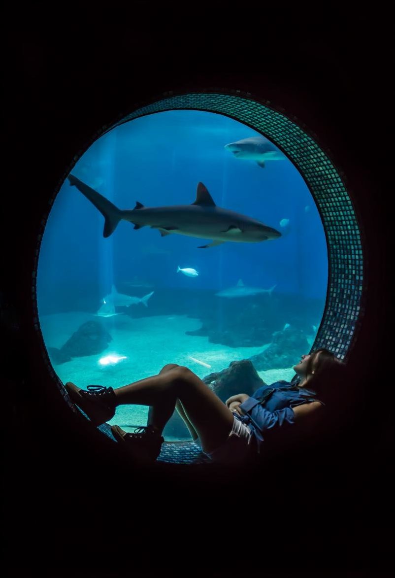 Подборка фотографий