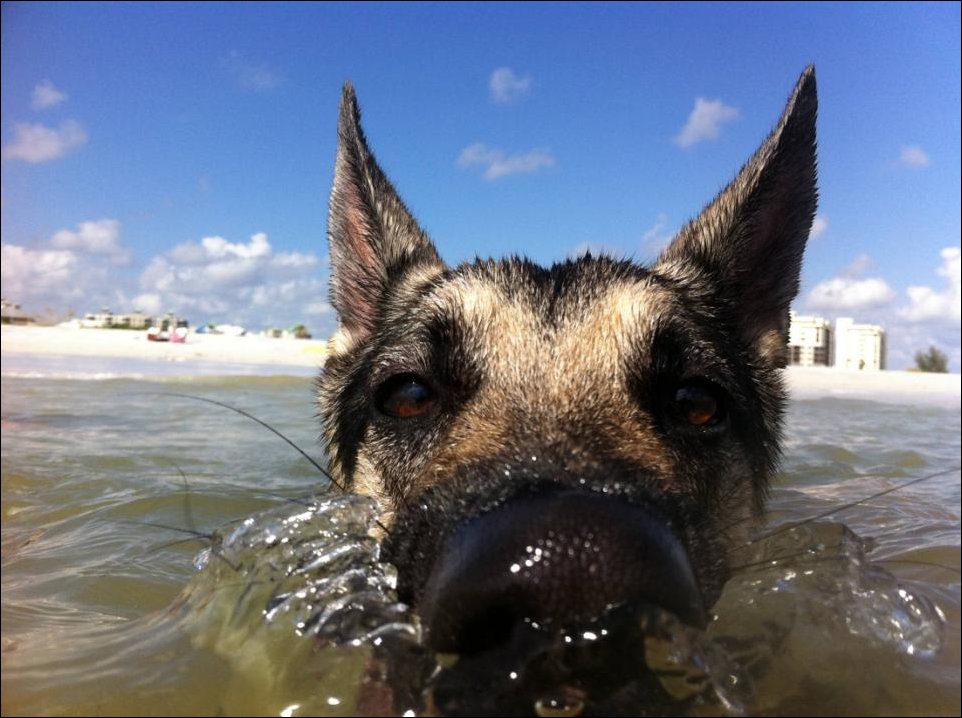 Подборка фотографий