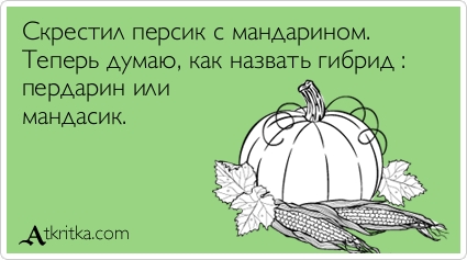 Аткрытки прикольные