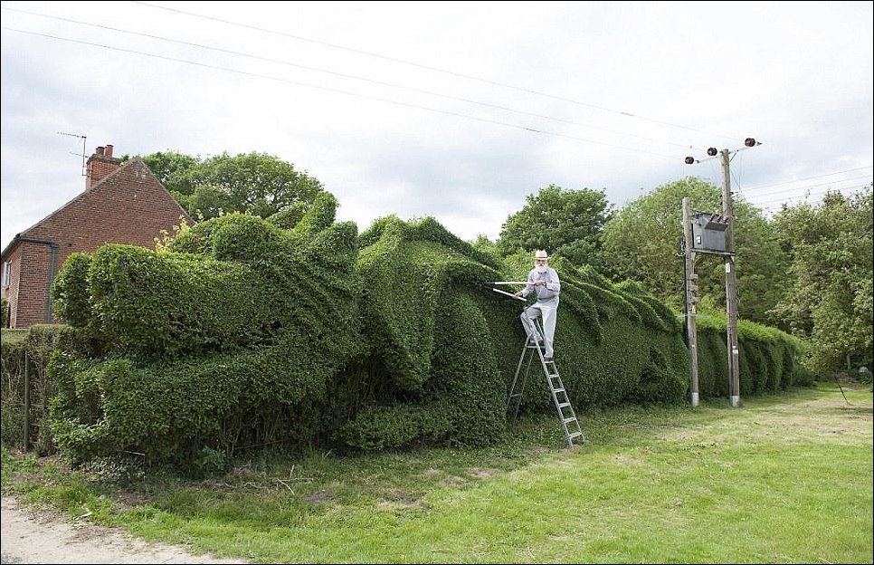 Садовник выстриг дракона