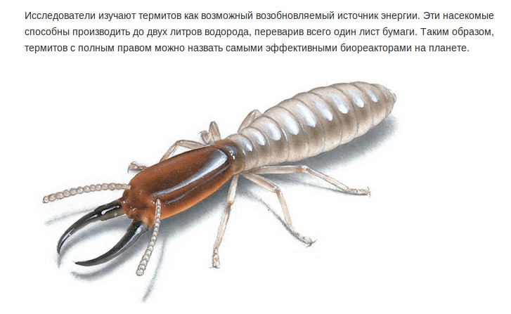 Интересные факты о разном
