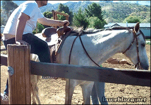 Прикольные гифки