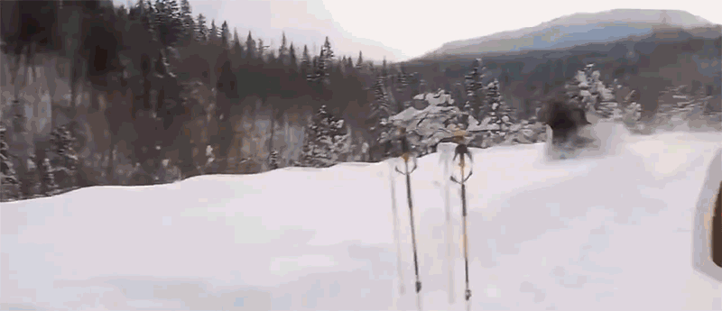 Прикольные гифки