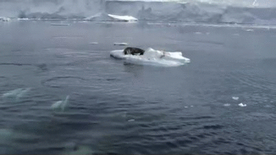 Прикольные гифки