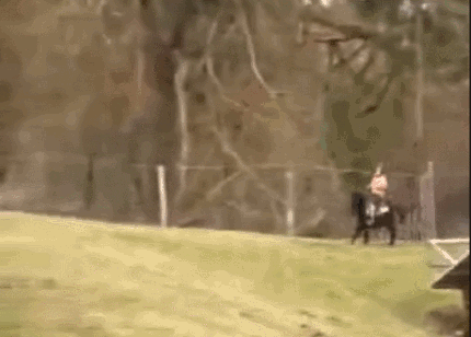 Прикольные гифки