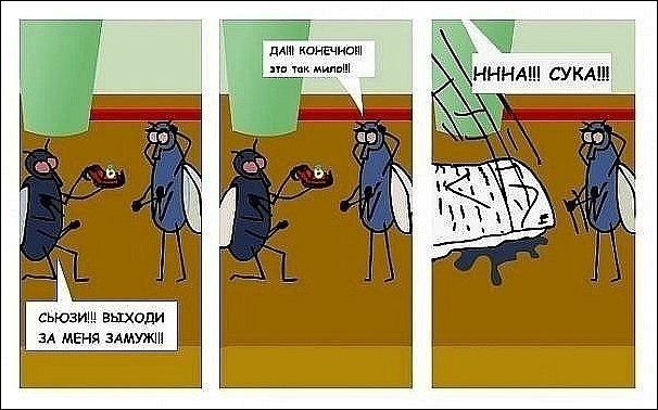 Комиксы и карикатуры