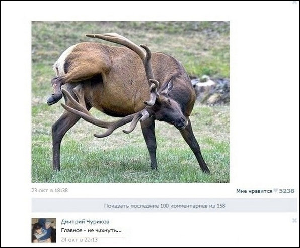 Смешные комментарии