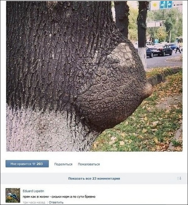 Смешные комментарии