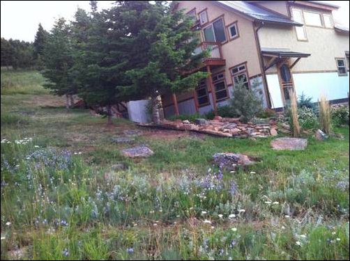 Недвижимость