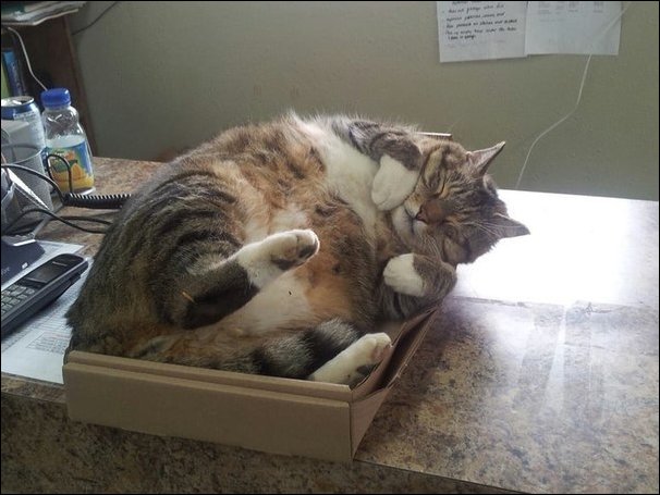 Фотоприколы