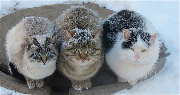 Фотоприколы