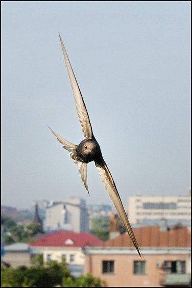 Фотоприколы