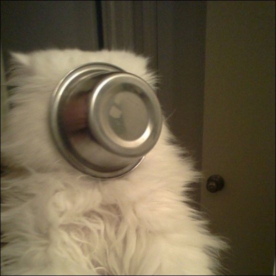 Фотоприколы