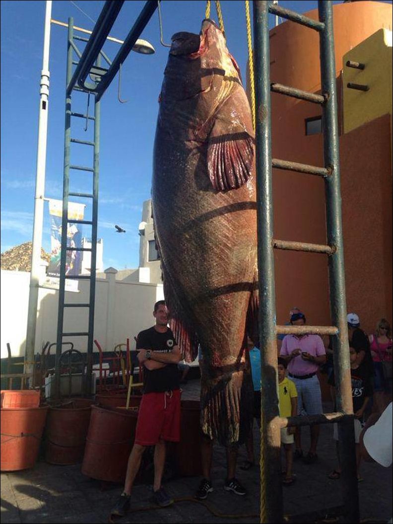 Фотоприколы