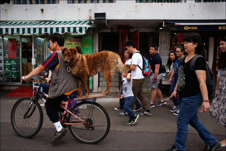 Фотоприколы