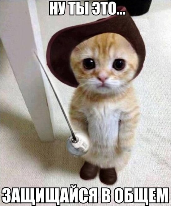 Фотоприколы