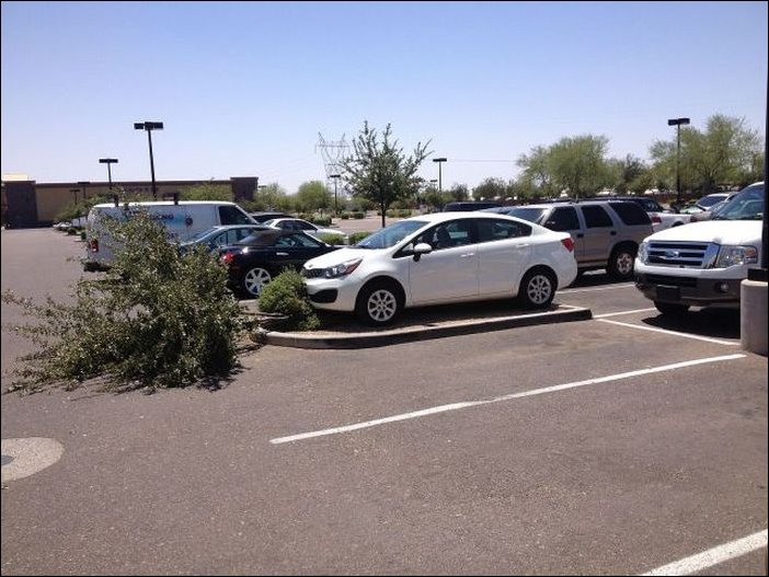 Фотоприколы