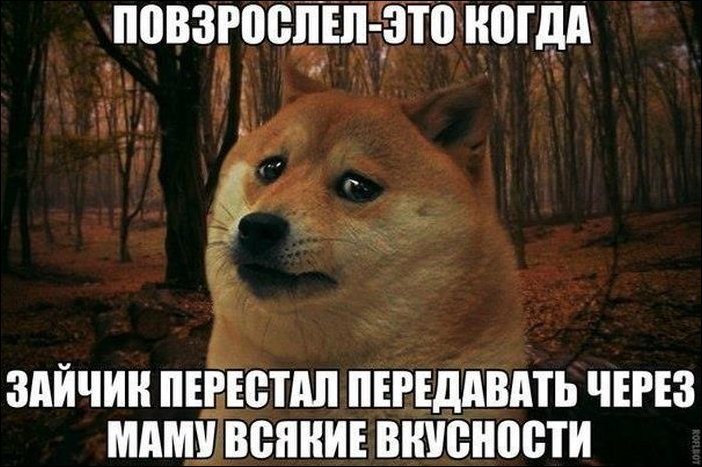 Фотоприколы