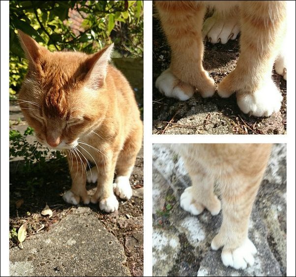 Фотоприколы