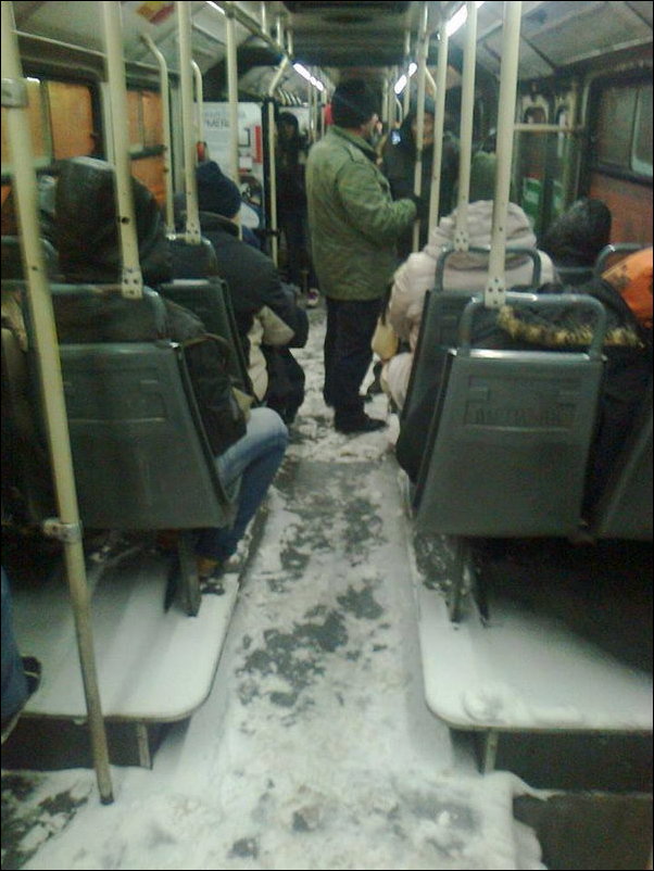 Автобусы и трамваи в Сербии