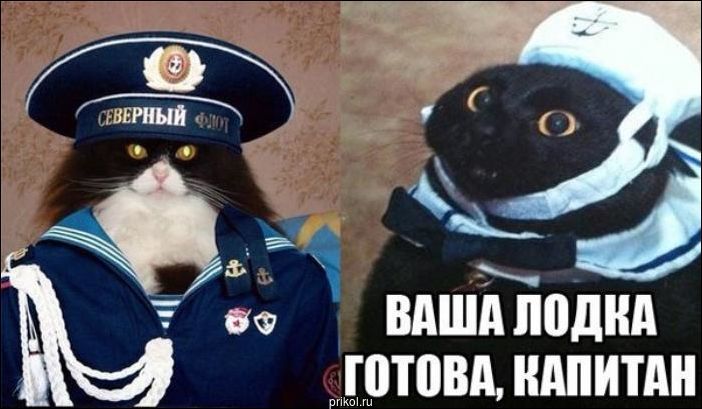 Комиксы и карикатуры