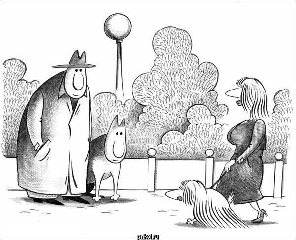 Комиксы и карикатуры