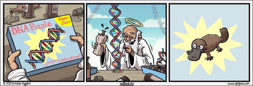 Комиксы и карикатуры