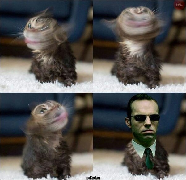 Комиксы и карикатуры